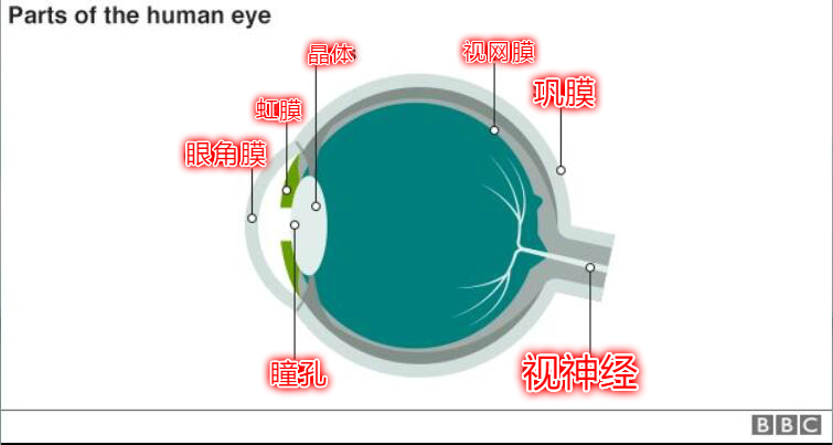 QQ截图20170413153901