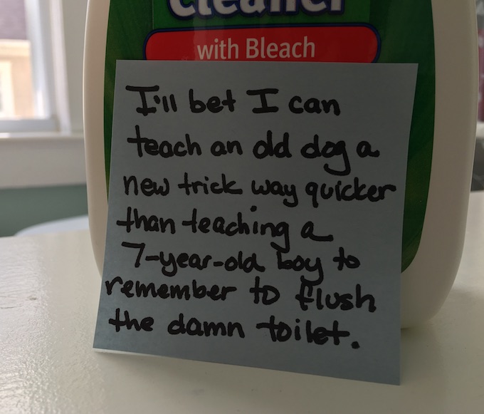 new-dog-old-tricks-parenting