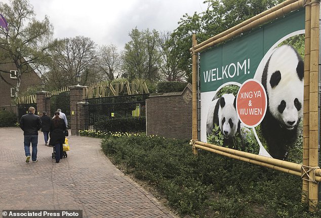 People walk past a sign proclaiming the arrival of giant pandas Wu Wen and Xing Ya in Rhenen, the Netherlands, Wednesday, April 12, 2017. The pair of three-and-half year old giant pandas were flown from China to Amsterdam and will be taken from Schiphol Airport to the Ouwehands Zoo in the central Dutch town of Rhenen where they will settle into a purpose-built enclosure for a 15-year stay as part of a nature conservation project. (AP Photo/Aleksandar Furtula)