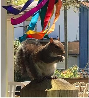 屏幕快照 2017-04-15 下午1.26.09