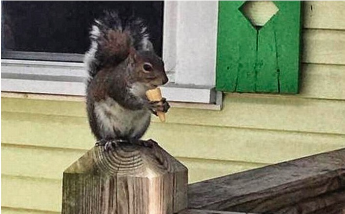 屏幕快照 2017-04-15 下午1.26.26