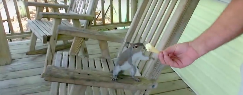 屏幕快照 2017-04-15 下午1.31.26