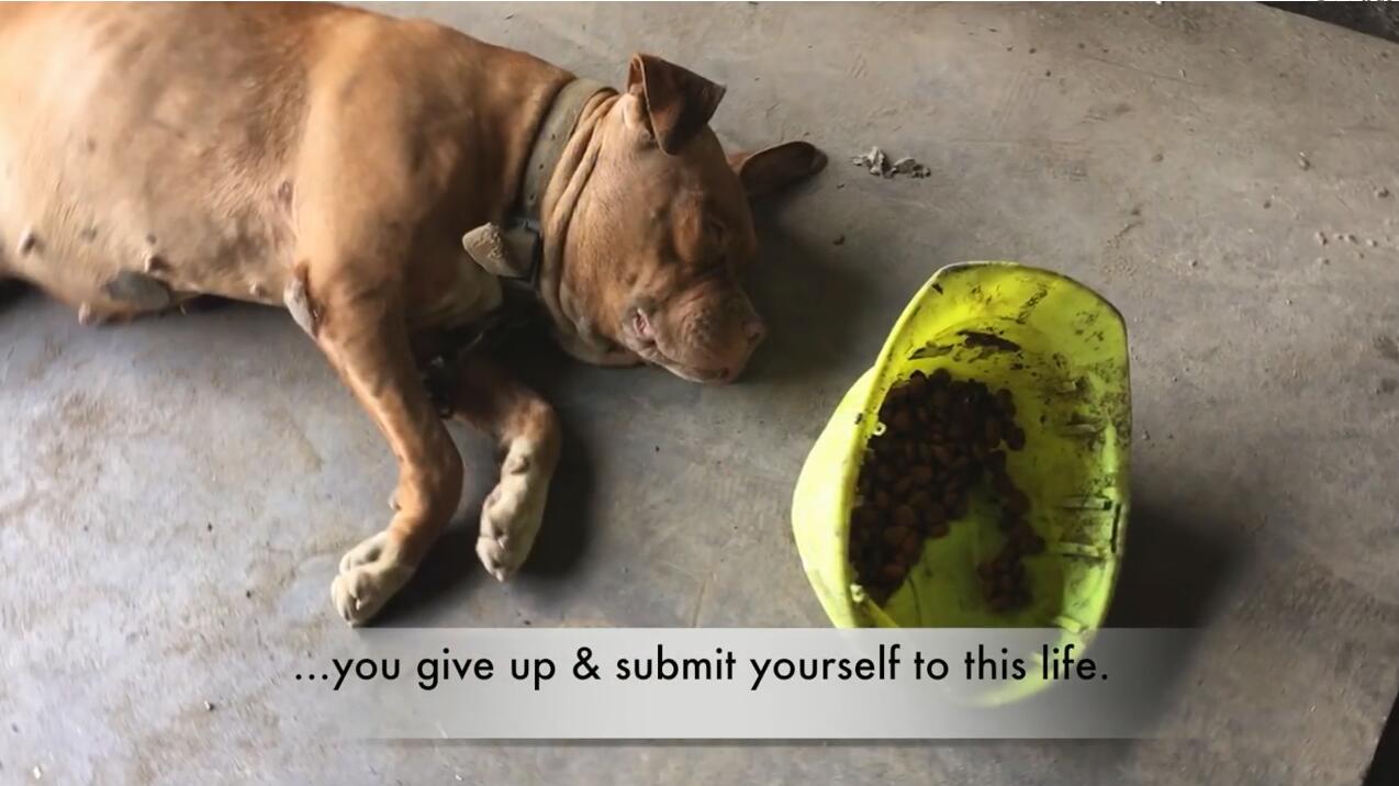 113