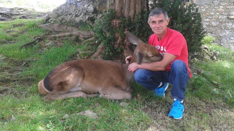 Aladino-and-Bambi3