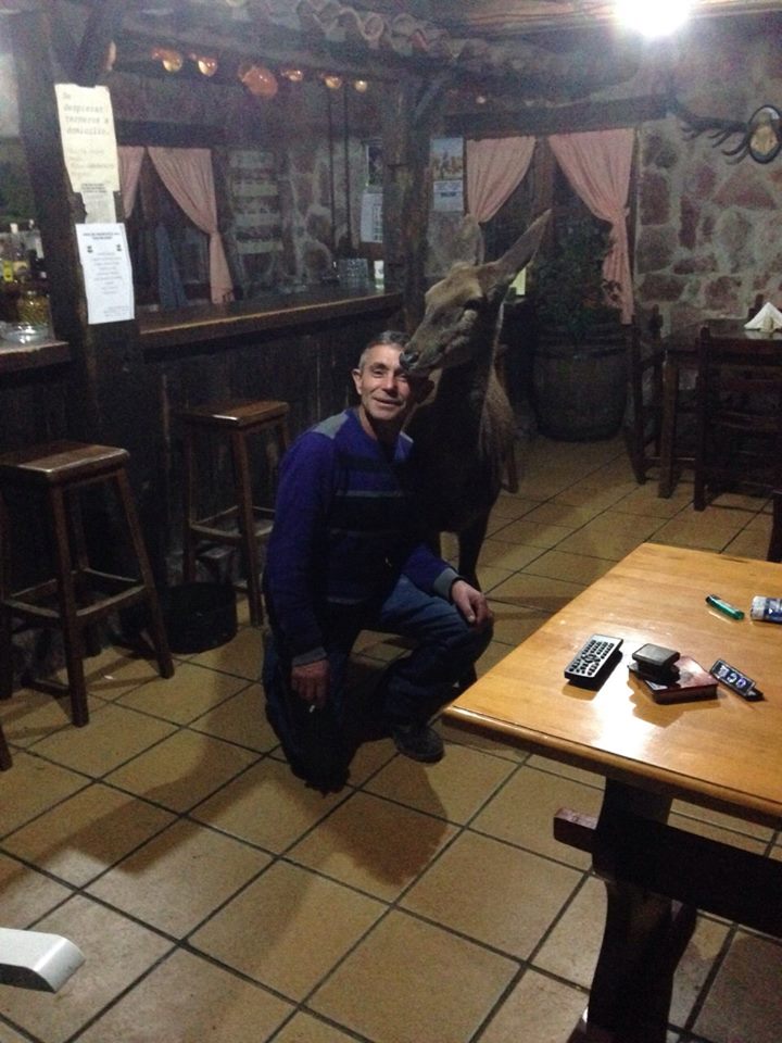 Aladino-and-Bambi4