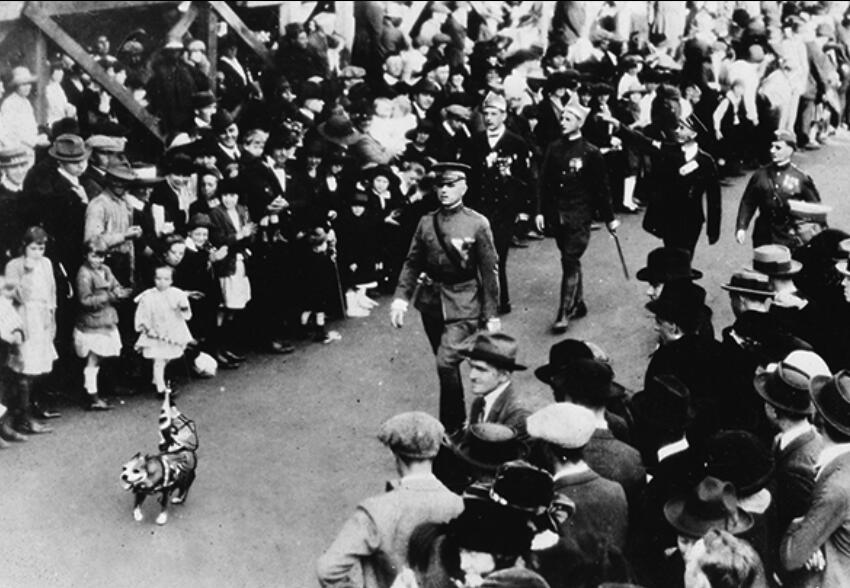 140507_HIST_Stubby-01_Parade.jpg.CROP.original-original