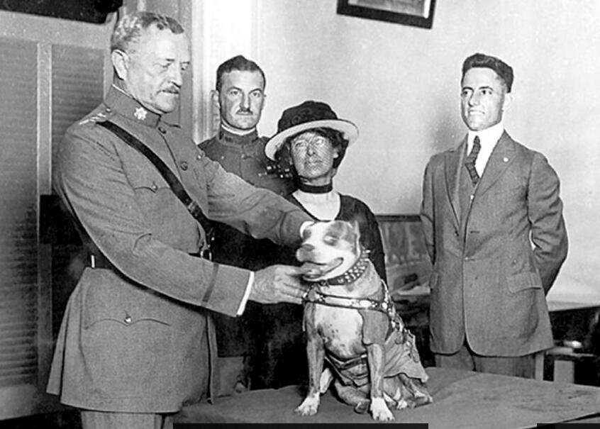140507_HIST_Stubby-04_PershingMedal.jpg.CROP.original-original
