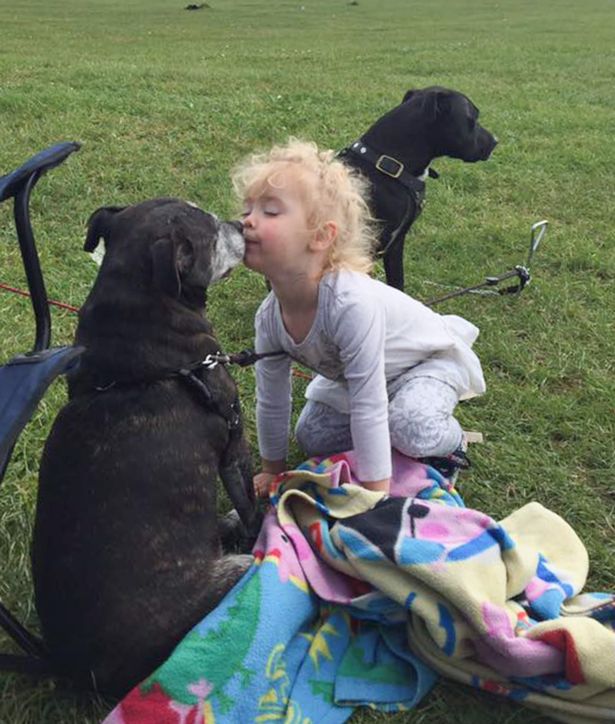 MUM-PUTS-KRAY-TWIN-TOTS-UP-FOR-SALE-AFTER-SNAP-CATCHES-THEM-LICKING-SPILT-MILK-OFF-FLOOR-WITH-DOGS