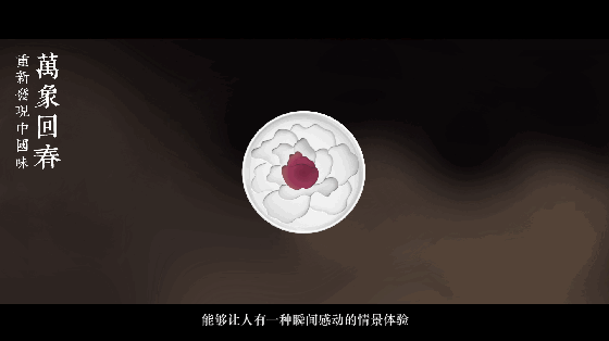 万象回春调味碟