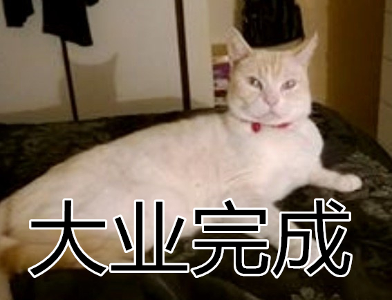 11_副本