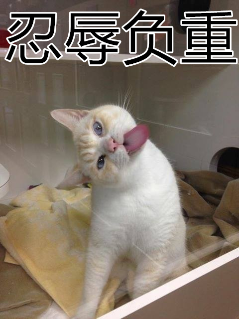 5_副本
