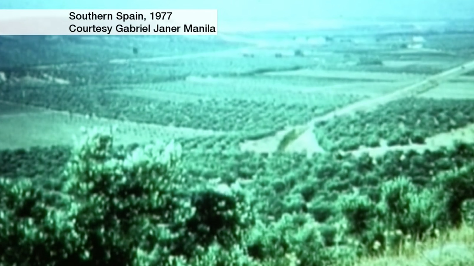 1977年，Gabriel Janer Manila