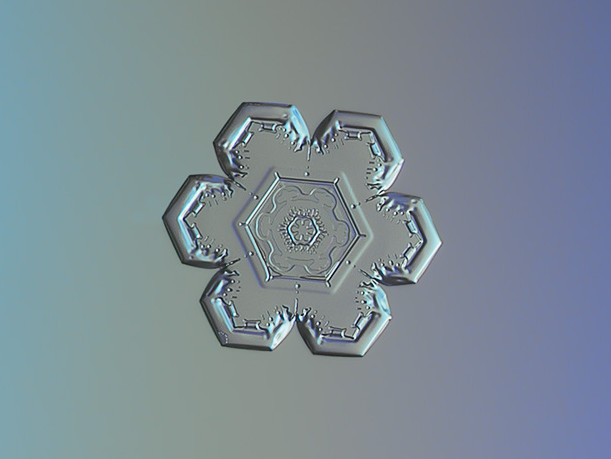 558-11