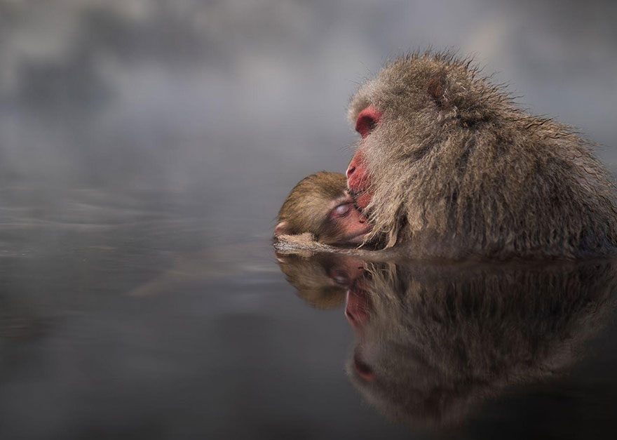 AD-National-Geographic-Travel-Photographer-Of-The-Year-Contest-2016-06
