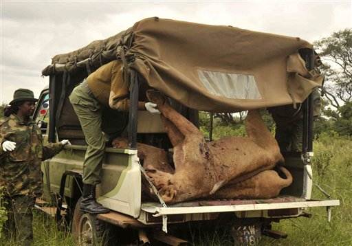 kenya lions killed-2077318008_v2.grid-8x2
