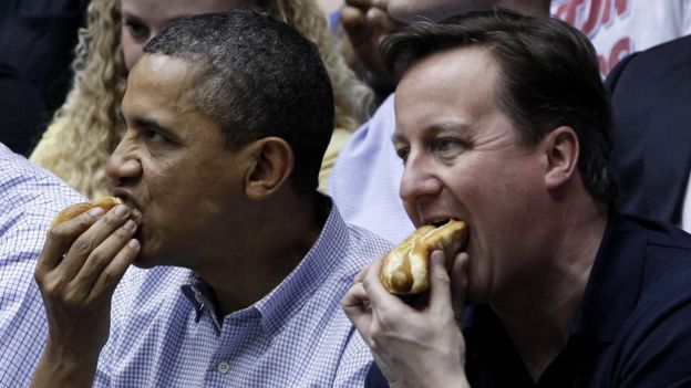 _88692670_hotdogs
