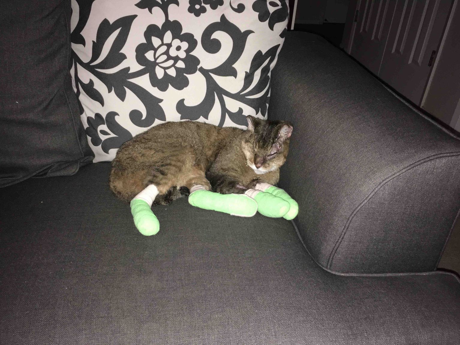 16
