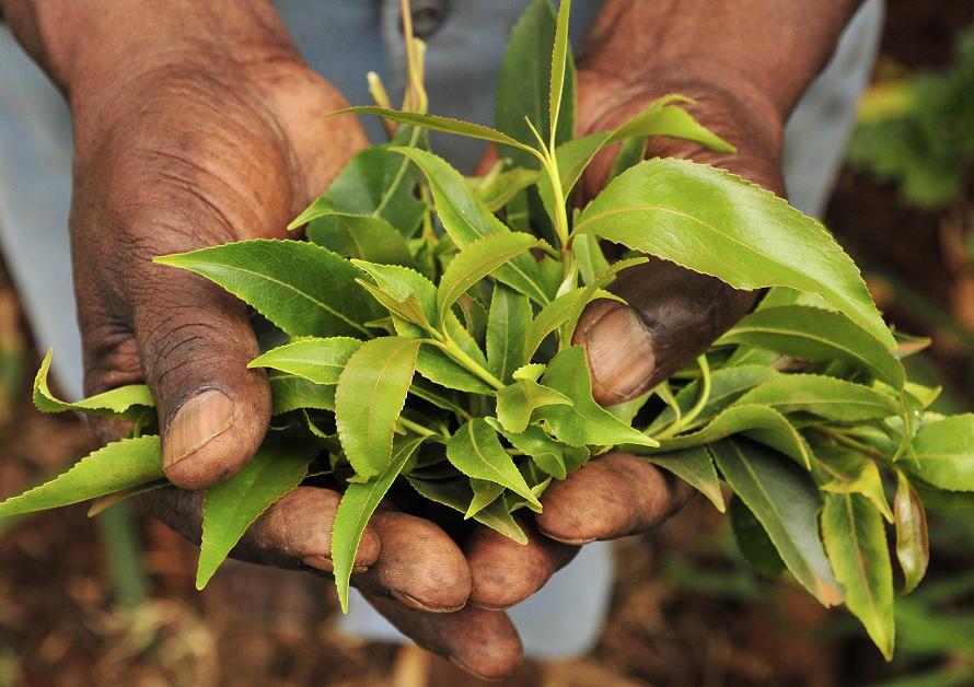 khat01
