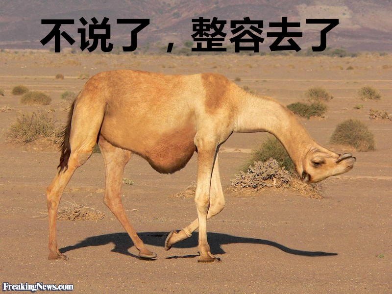 99_副本