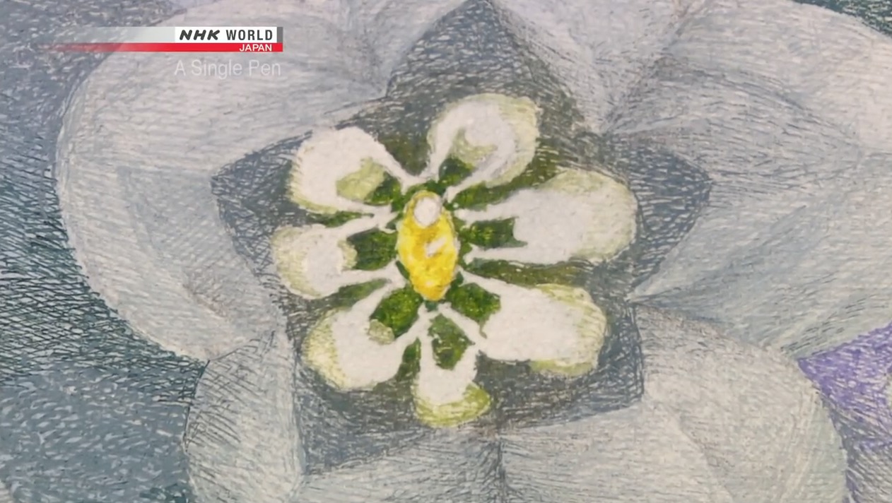 屏幕快照 2018-03-04 下午6.56.04