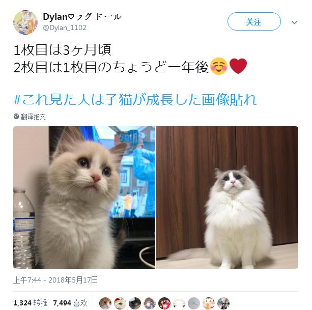75