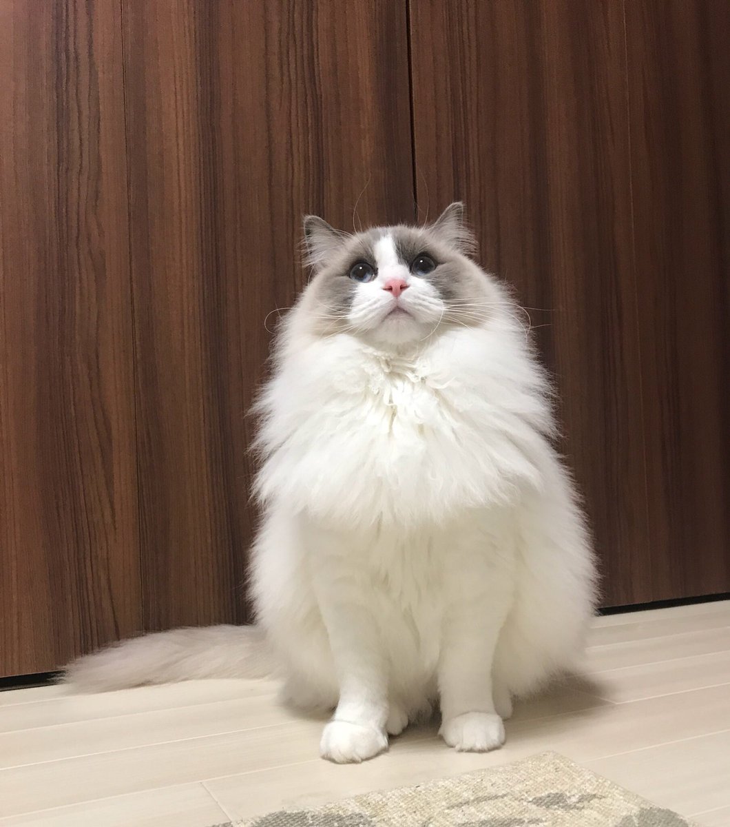 77