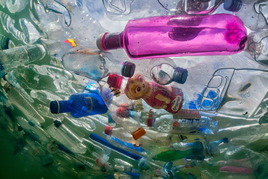 plastic-crisis-impact-on-wildlife-national-geographic-june-issue-cover-6-5afd84cd5d0e2__880