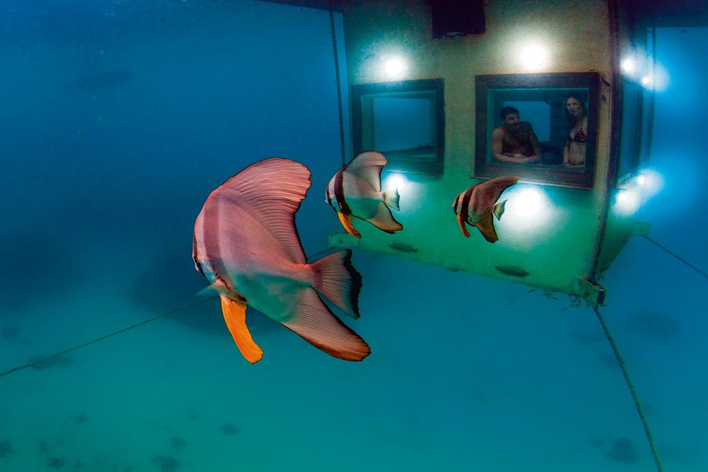 manta-resort-underwater-view