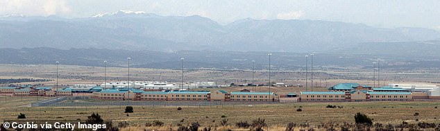 9735708-0-image-a-11_1550001090720