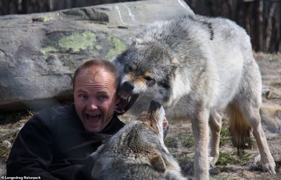 9743198-6681125-Frank_Andre_Soma_has_been_a_predator_specialist_for_21_years_He_-a-1_1550782218041