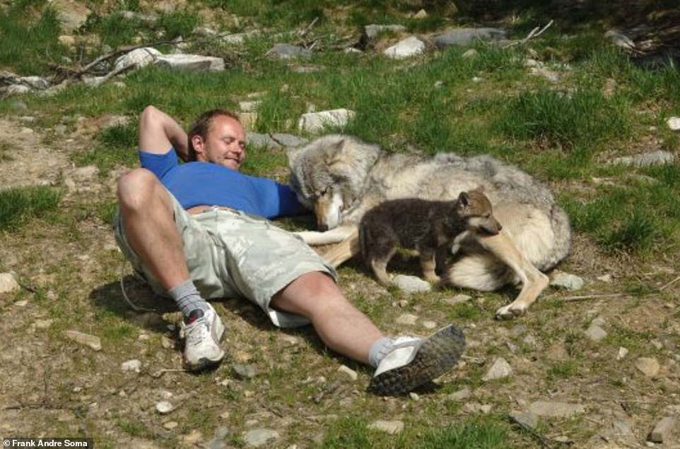 9792144-6681125-Pack_mentality_Frank_sits_with_Varg_when_he_was_a_puppy_and_Embl-a-6_1550782218091