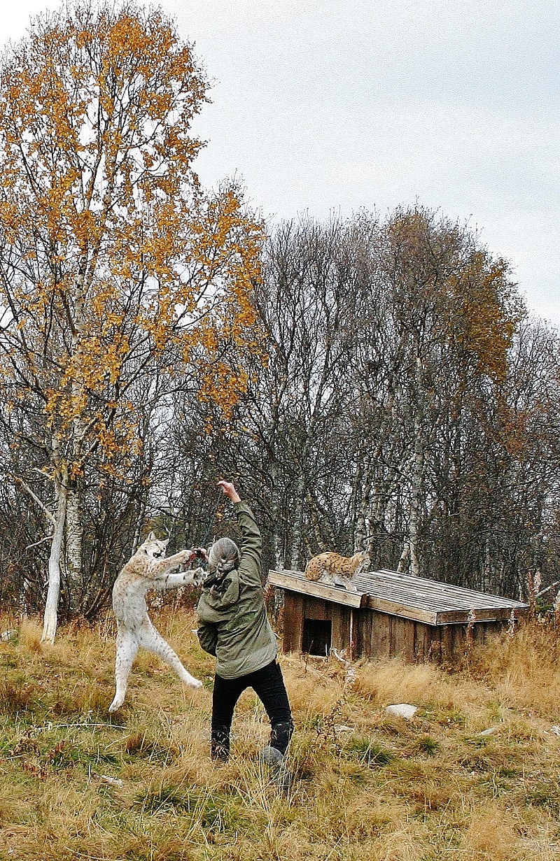 Tuva 15