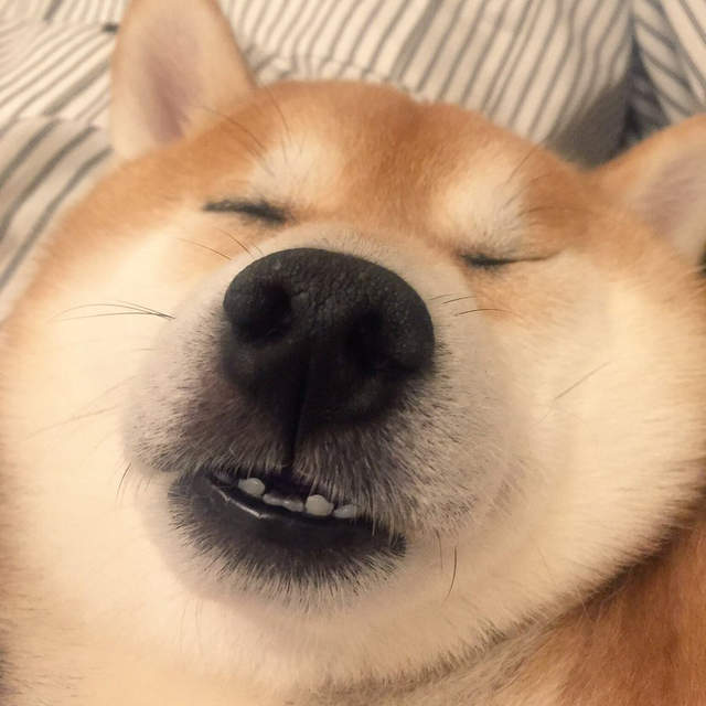 pJySnqGWl5_WqaQ
