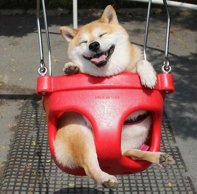paCZoqCbkKKbsKSZ