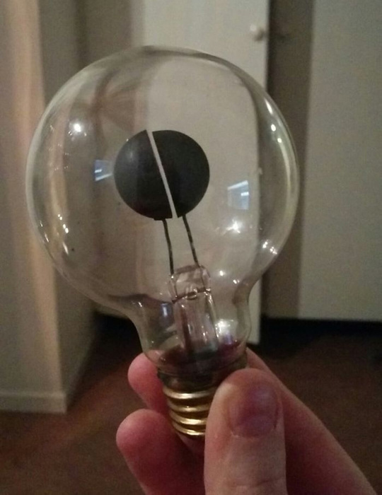 weird-odd-things-39-5c6b1627c513e__700