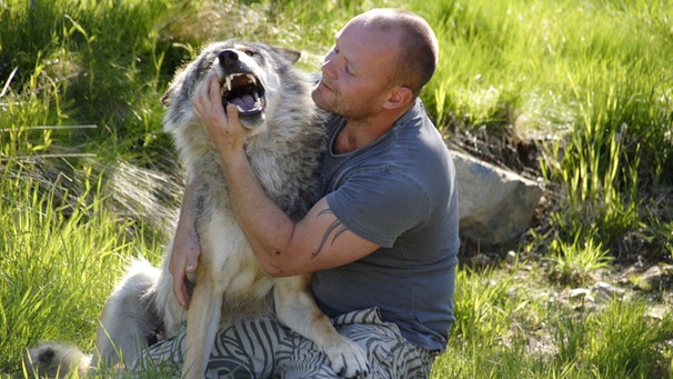 wolf-166__v-img__16__9__l_-1dc0e8f74459dd04c91a0d45af4972b9069f1135
