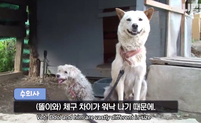 屏幕快照 2019-02-20 下午8.13.35