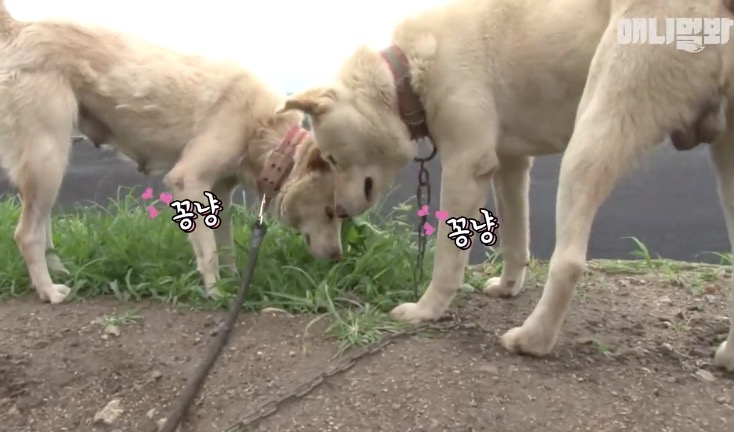 屏幕快照 2019-02-20 下午8.22.58