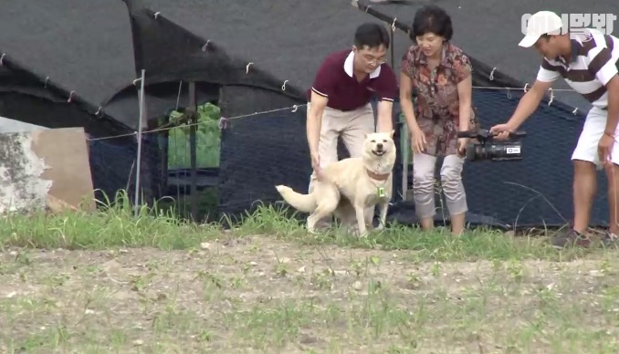 屏幕快照 2019-02-20 下午8.36.47