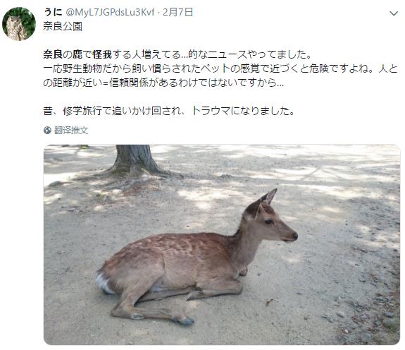 微信截图_20190210140301