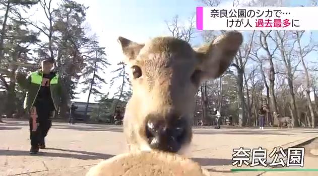 微信截图_20190210141433