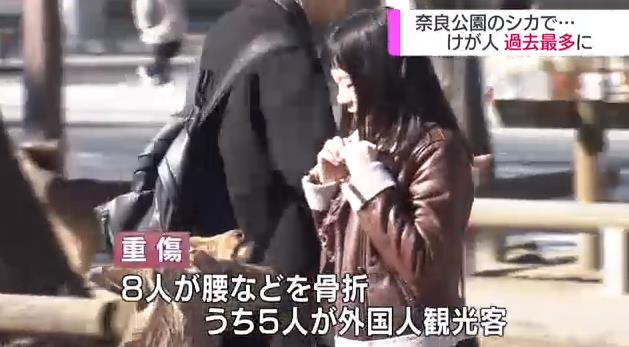 微信截图_20190210141543