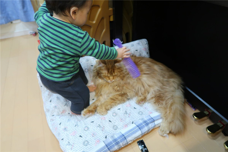 D0pw0zOUcAE3EfM_副本