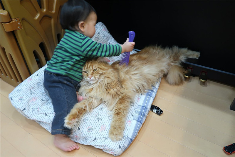 D0pw1nfUwAEQQUh_副本