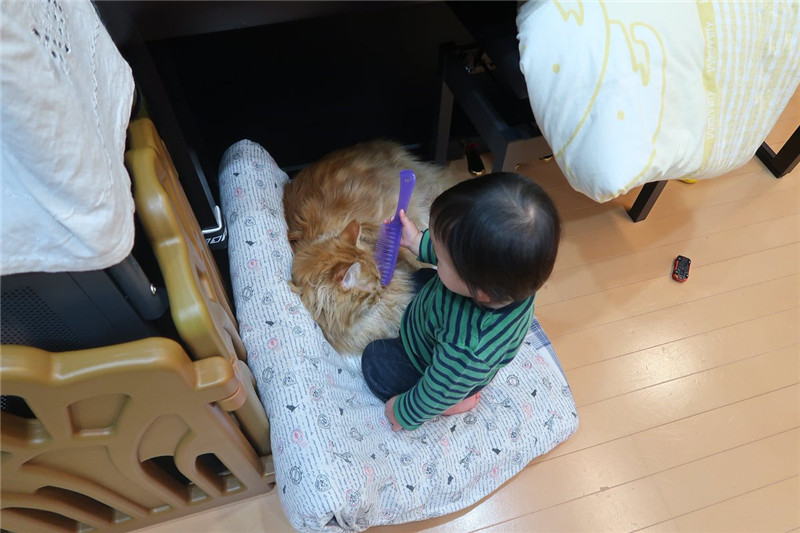 D0pwz8hU0AAaBXn_副本