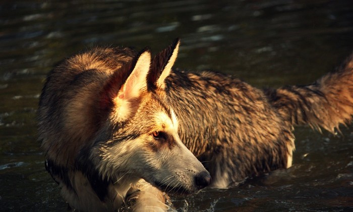 d2fd3c40783fdaa6ea8bf96b568f97ac5566fef0