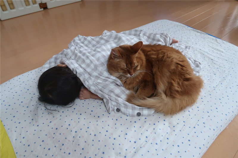 ツナちゃんとお昼寝