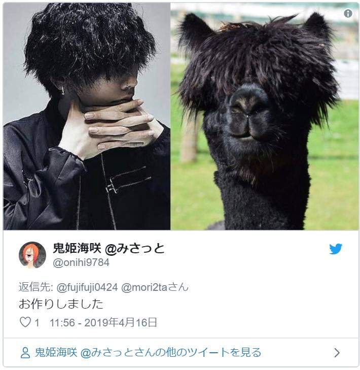 偶遇一只神似米津玄师的绵羊……这盖住眼睛的发型,有点忧郁的气质