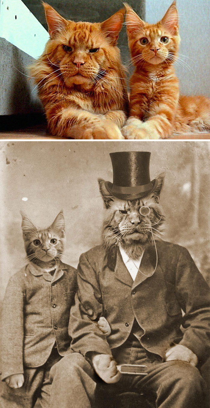 funny-photo-edit-photoshop-battle-17-5d010be813935__700