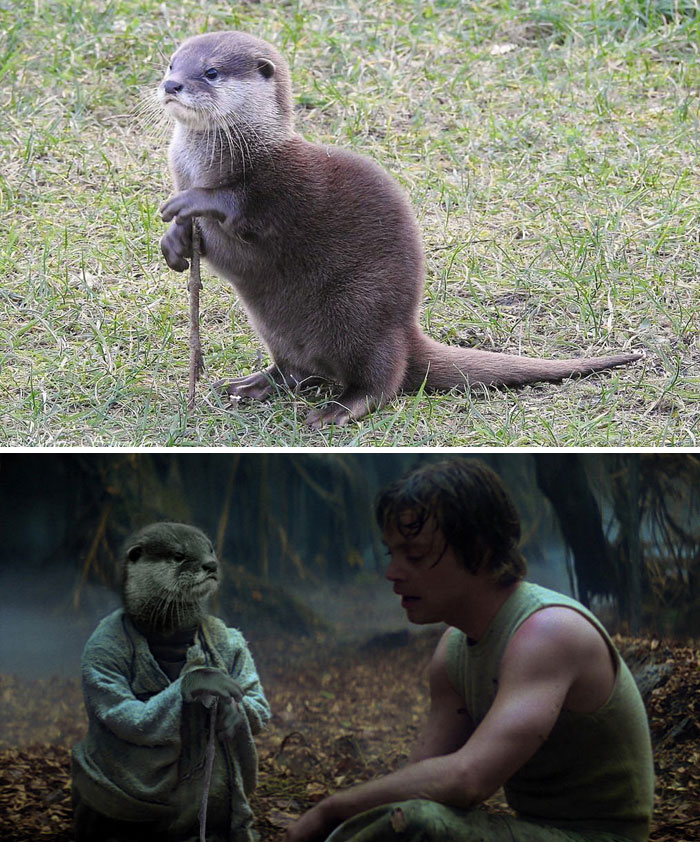 funny-photoshop-battle-winners-251-5a63bcd2293a7__700